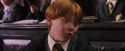 PF-Potterish_05705.jpg