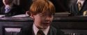 PF-Potterish_05707.jpg