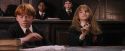 PF-Potterish_05732.jpg
