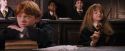 PF-Potterish_05735.jpg