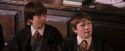 PF-Potterish_05736.jpg
