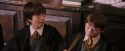 PF-Potterish_05737.jpg