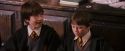 PF-Potterish_05739.jpg