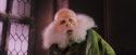 PF-Potterish_05746.jpg