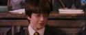 PF-Potterish_05751.jpg