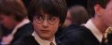 PF-Potterish_05831.jpg