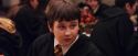 PF-Potterish_05837.jpg
