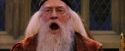 PF-Potterish_05874.jpg