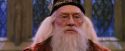 PF-Potterish_05882.jpg