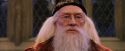 PF-Potterish_05883.jpg