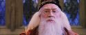 PF-Potterish_05884.jpg
