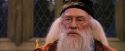 PF-Potterish_05885.jpg