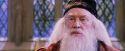 PF-Potterish_05886.jpg
