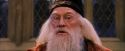 PF-Potterish_05894.jpg