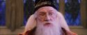 PF-Potterish_05895.jpg