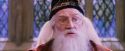 PF-Potterish_05896.jpg