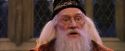 PF-Potterish_05897.jpg