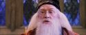 PF-Potterish_05898.jpg