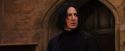 PF-Potterish_05909.jpg