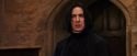 PF-Potterish_05910.jpg