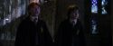 PF-Potterish_05957.jpg