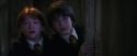 PF-Potterish_05963.jpg