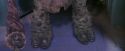 PF-Potterish_05979.jpg