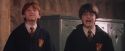 PF-Potterish_06013.jpg