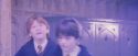 PF-Potterish_06014.jpg