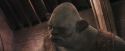 PF-Potterish_06034.jpg