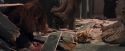 PF-Potterish_06036.jpg