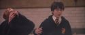 PF-Potterish_06049.jpg