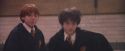 PF-Potterish_06053.jpg