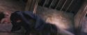 PF-Potterish_06067.jpg