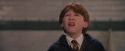 PF-Potterish_06070.jpg