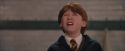 PF-Potterish_06071.jpg