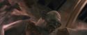 PF-Potterish_06115.jpg