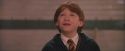PF-Potterish_06118.jpg