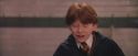 PF-Potterish_06121.jpg
