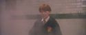 PF-Potterish_06137.jpg