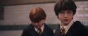 PF-Potterish_06161.jpg