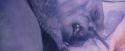 PF-Potterish_06169.jpg