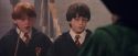 PF-Potterish_06186.jpg