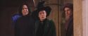 PF-Potterish_06195.jpg