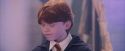 PF-Potterish_06211.jpg
