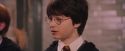 PF-Potterish_06217.jpg