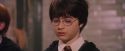 PF-Potterish_06218.jpg