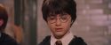 PF-Potterish_06219.jpg