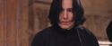 PF-Potterish_06224.jpg