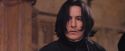 PF-Potterish_06225.jpg